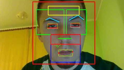 Face Features Detection System - with OpenCV