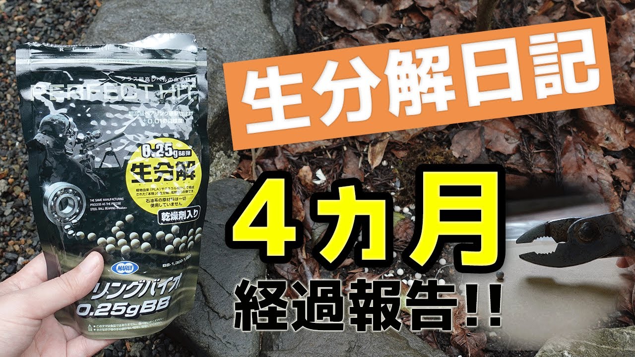 Observation] Biodegradation Diary: 4 Months Later. How Do Bio BB