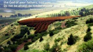 Tree 63 - Blessed Be Your Name