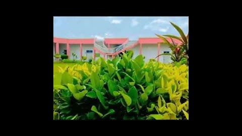 BZU Vibes | Multan | University Vibes | 2021