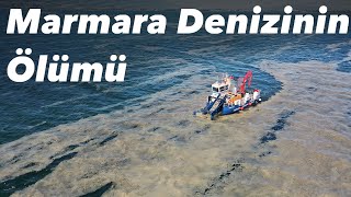 Marmara Denizinin Ölümü