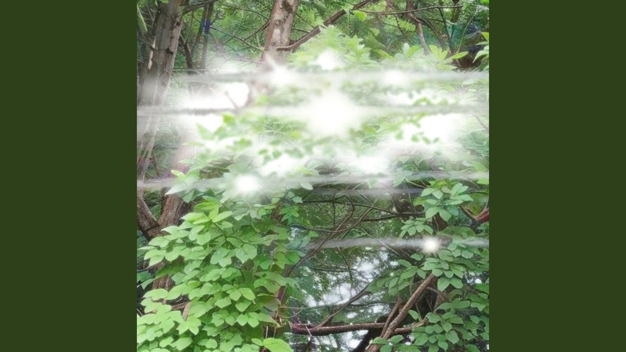 Церковна служба на водохреща