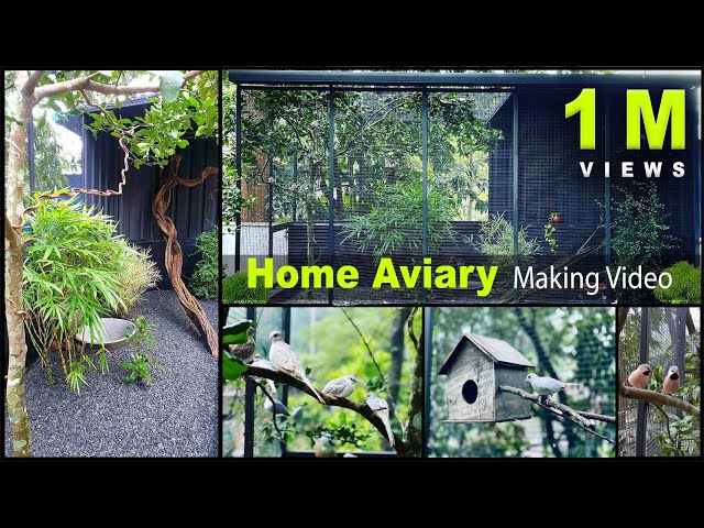 Home Aviary Making Video I DIY I Time Lapse I Bird Cage I Aviaries I Exotic Birds class=