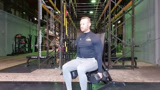 Seated dumbbell shrugs