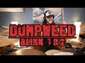 Dumpweed (Drum Cover) - blink-182 - Kyle McGrail