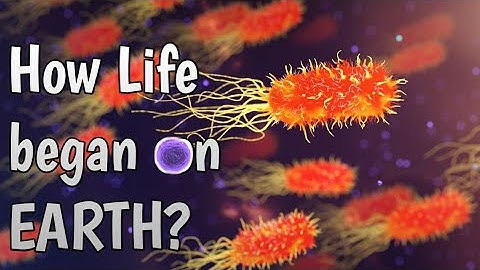 How did Life begin on Earth? | Mysterious origin of Life | Explained by #LearNew