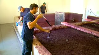 The Timeless Elixir: Exploring the History of Port Wine | Documentary