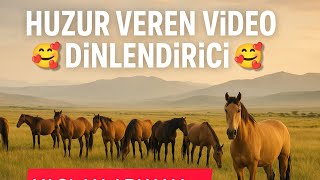 It Will Take Away The Tiredness Of The Day And Calm Your Soul Close Your Eyes And Take A Deep Br