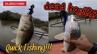 Done some quick fishing today two fish, one bait! Chatter bait chal...