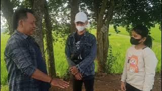 Peradapan Tertua di Pekalongan (banyak ditemukan emas jaman kerajaan)