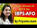 Major Disease of Rice (IBPS AFO)