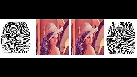 Watermarking of Digital Media with Encrypted Biometric Features for Digital Ownership