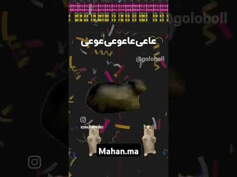 تولدت عو عی عا Funny Memes آهنگ یوتیوب فارسی تولد گربه میم