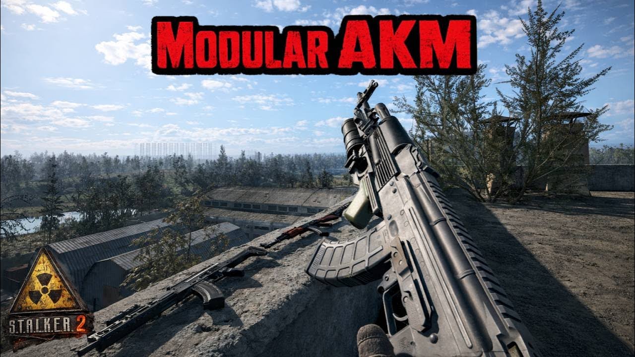 Modular AKM & Rifle Dynamics 704 Mod Review S.T.A.L.K.E.R. 2