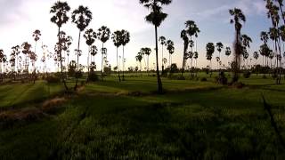 Pathumthani Aerial Cinematography Trailer