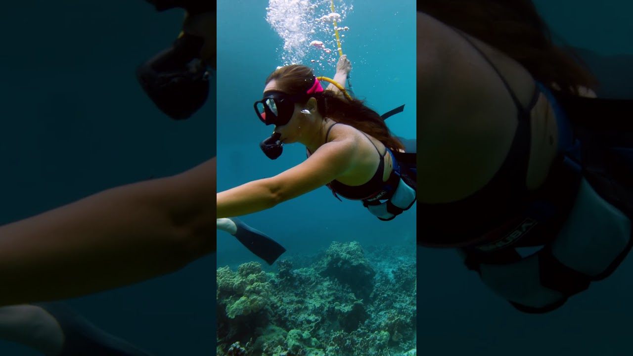 Dive into a whole new world with SNUBA on our Morning Kealakekua Snorkel Tour!  
