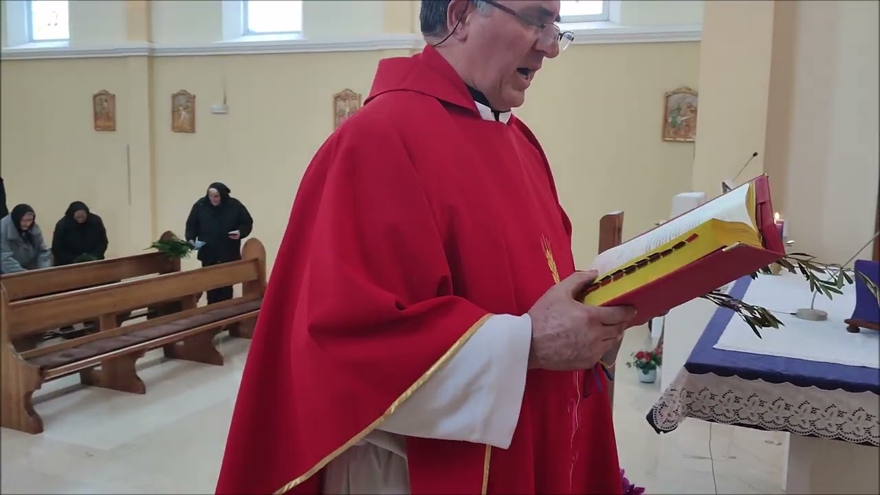 ❤️❄️🌱🙏🙏🙏Borovica Cvjetnica❤️❄️🌱🙏🙏