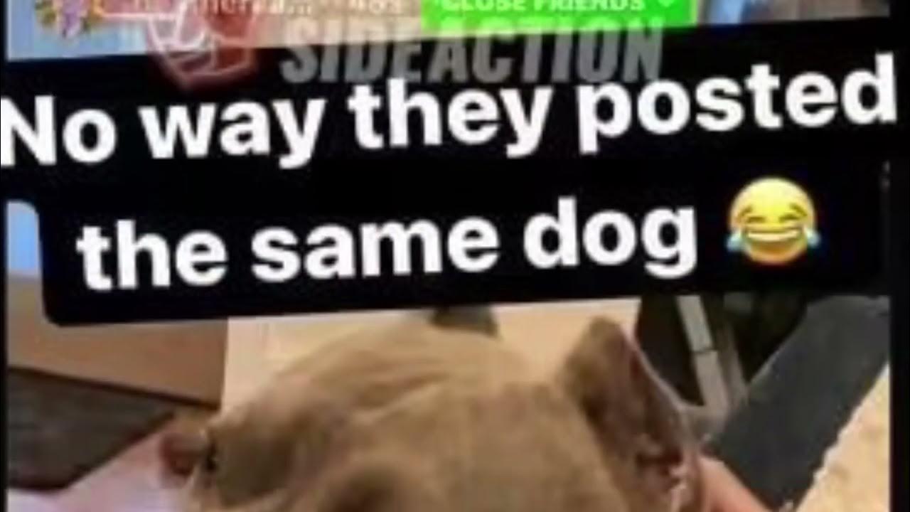 Dillon Brooks confirms he’s dating Transgender (Big Bambina) 