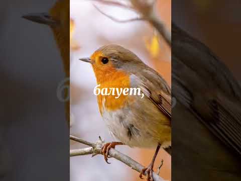 Октябрьский день Астана 2025г 