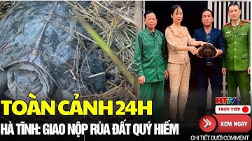 🔴[Toàn Cảnh 24h] Ngư dân mất tích trên biển | Tái thả rùa đất quý hiếm về rừng | Hà Tĩnh TV