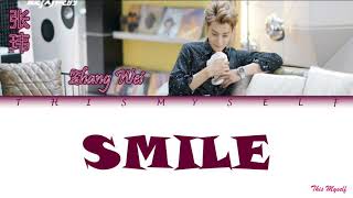 Video thumbnail of "Zhang Wei (张玮) - Smile [The Brightest Star In The Sky (夜空中最闪亮的星) OST]"