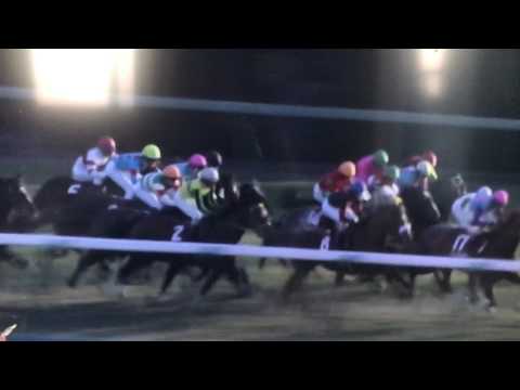 競馬ルメール落馬