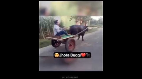 #jaat #desijaat#jaatattitude #desiattitude #jaatpower #rudiyaaalajaat Jaat Attitude VideoJAAT#shorts