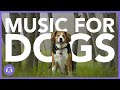 How to Relax Your Dog - The BEST Relaxation Music for Dogs! (2021!)