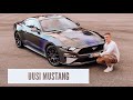 New Mustang - Uus kärry esittely