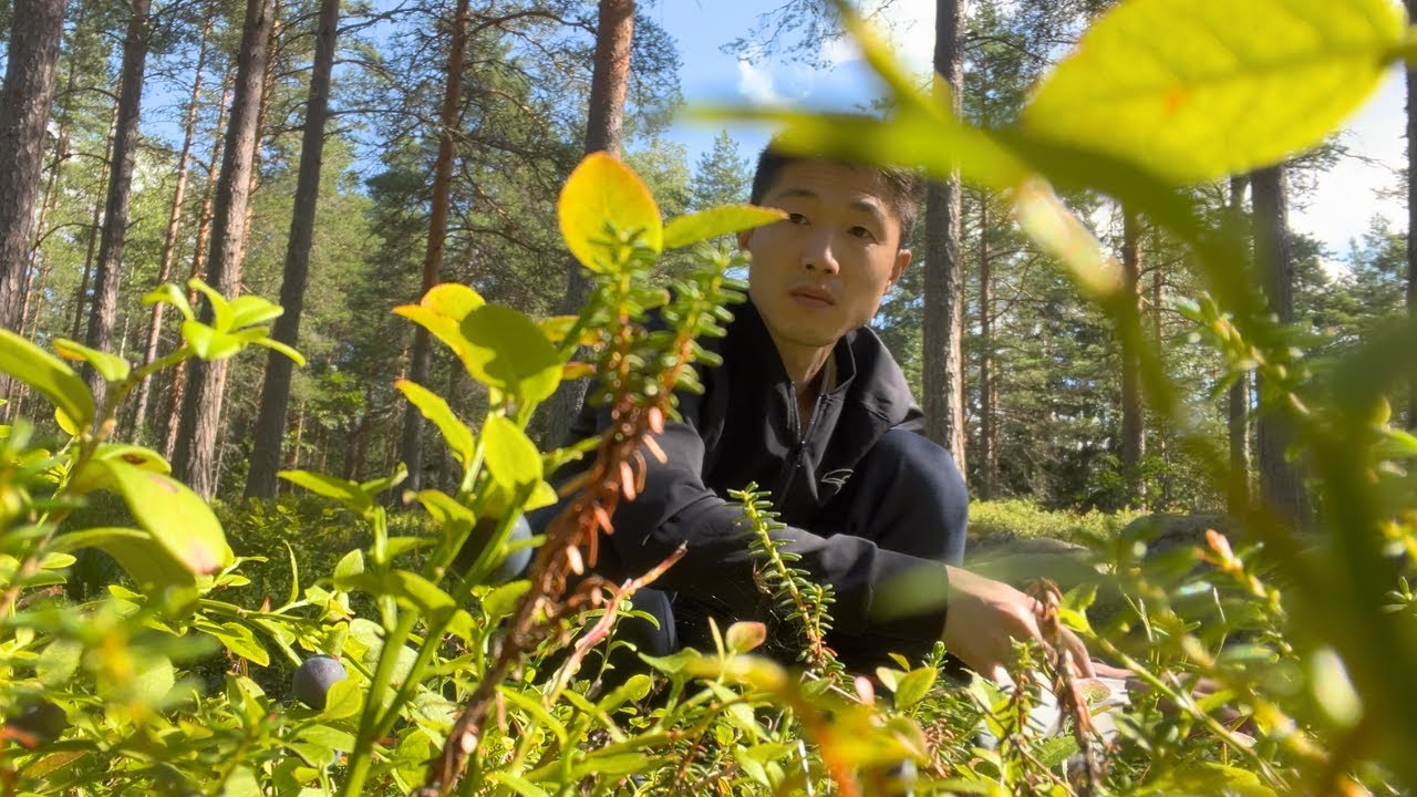 The Simple Pleasures of Finnish Summer | Cottage, Berry Picking & Helsinki Life