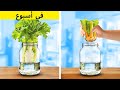 حيل البستنة: نصائح للزراعة الداخلية 🌱