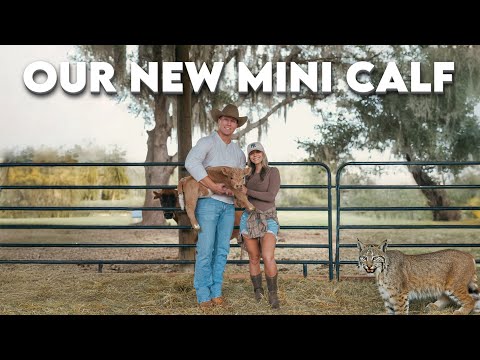 Uploads from Navigation Farm