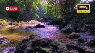 The gentle flow of water calms the heart and mind, increasing enthusiasm and creativity