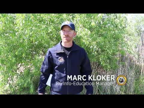 How to carry a digital fishing license