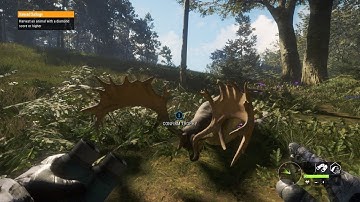 Multiplayer server hopping Te Awaroa! + albino axis off subscribers map! theHunter: Call of the wild