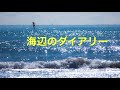 海辺のダイアリー