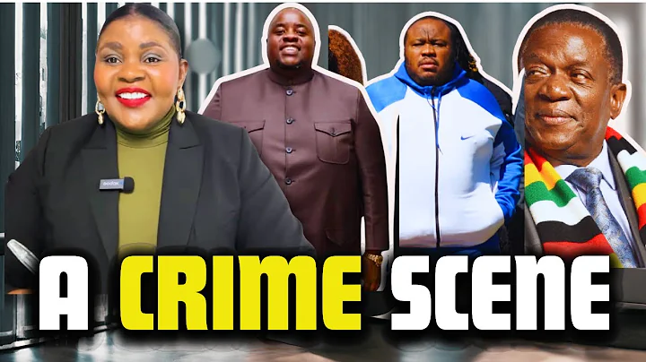 BREAKING NEWS! Mnangagwa Awarded Wicknell Chivhayo StarLink Deal: Zimbabwe A Crime Scene -Kasukuwere