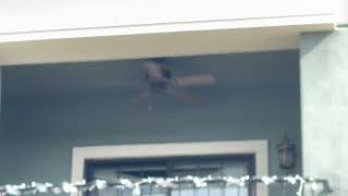 42” Quorum Estate Patio ceiling fan (Outtake)