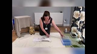 Child class- We're Going On A Bear Hunt Sensory Story