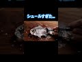クリスタルの魚のうろこは取れない|クリスタルASMR 宝石カット