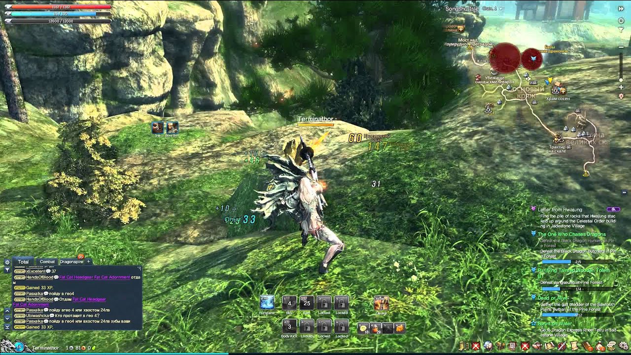 Blade and Soul Max Graphics