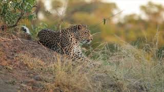 Soft Adventures in Sri Lanka | SoulTrek Luxury Holiday Specialists screenshot 4