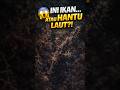 FAKTA UNIK. Ornate Ghost PipeFish. #faktahewan #faktaunik #hewanlaut #shortvideo #shorts #animals
