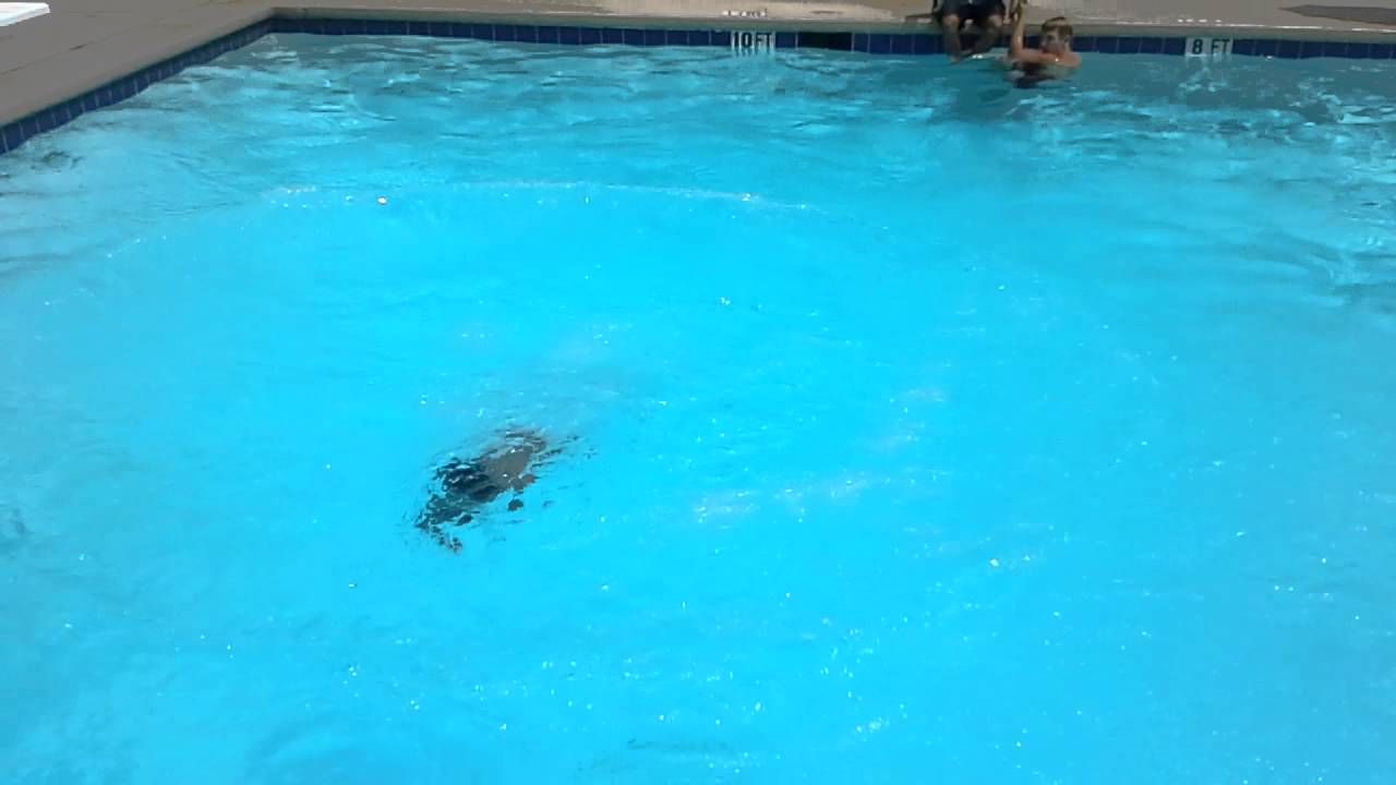 Benson diving board flip YouTube