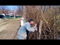 Видео прикол (Moldova)