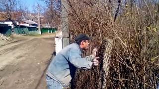 Видео прикол (Moldova) Видео прикол (Moldova)