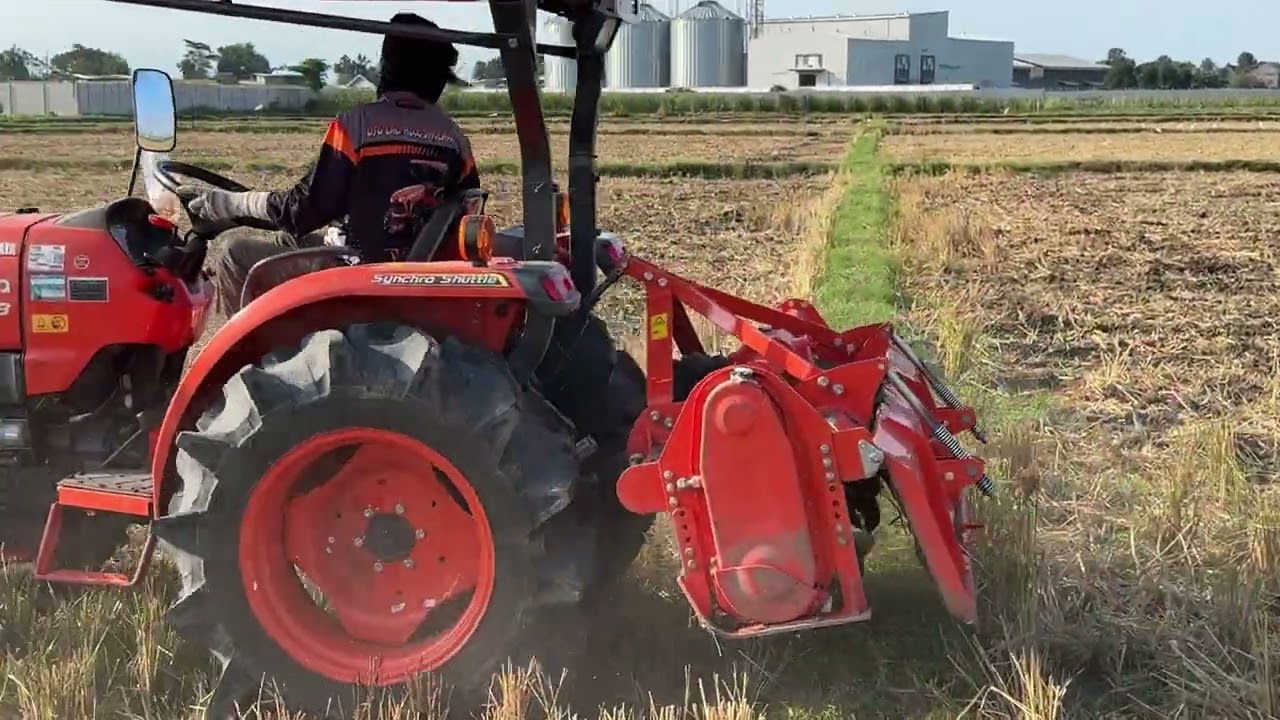 Persiapan olah tanah tanaman gobis part 1