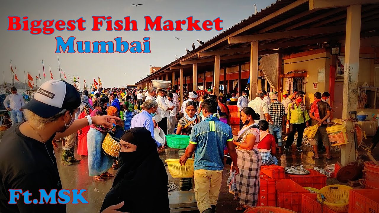 Bhaucha Dhakka Fish Market 2021 Biggest & Wholesale Fish Market In