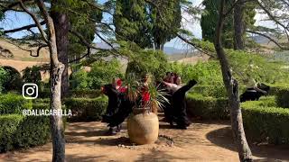 Dalia Carella Dance and Cultural Immersion in Sicily 5/23 - 6/4, 2027