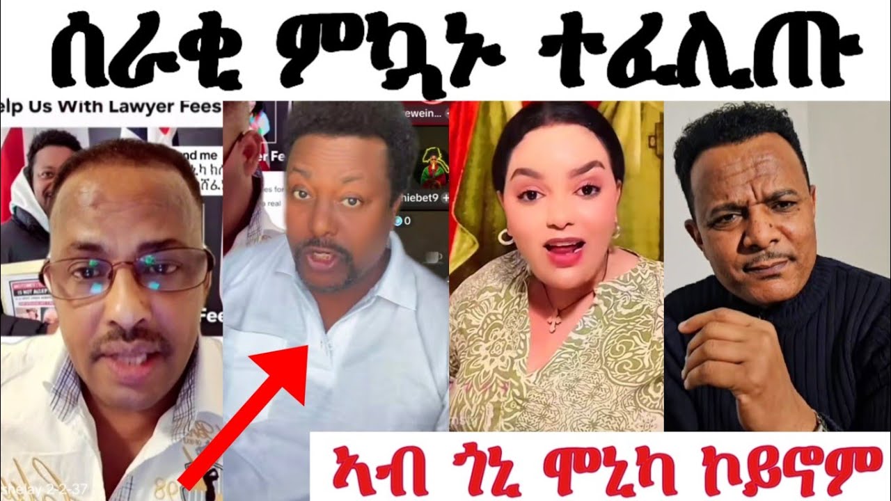 Gofund me ኣውጺኡ ሰብ ከምዘታልል ኣጋሊጾሞ...